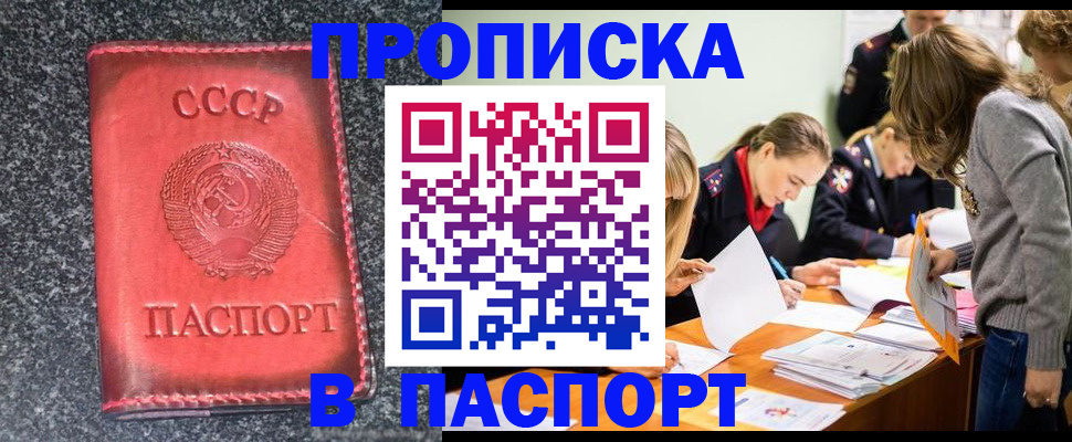 прописка для школы в Михайловке